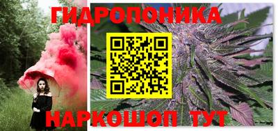 прущие грибы Кулебаки